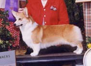 CH. Sua Mah Hail And Farewell 
